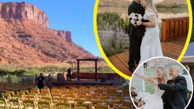 FAIRYTALE WEDDING Inside Sister Wives’ Christine Brown and David Woolley’s beautiful Utah wedding featuring gorgeous flowers and views FAIRYTALE WEDDING Inside Sister Wives’ Christine Brown and David Woolley’s beautiful Utah wedding featuring gorgeous flowers and views