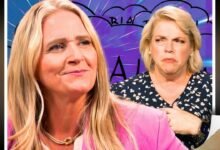 MINUTES AGO Fans Outraged Sister Wives Janelle & David Breaking News Christine’s It Will Shock U