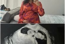 90 Day Fiance: Jasmine Pineda Is Pregnant With Baby #5 From Her Fourth Baby Daddy?