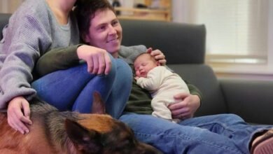 Today’s very sad news!! 90 Day Fiancé star Brandon drops heartbreaking news for Julia Today’s very sad news!! 90 Day Fiancé star Brandon drops heartbreaking news for Julia