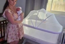 Happy announcement 🥳 Julia and Brandon drop bombshell about their first son!