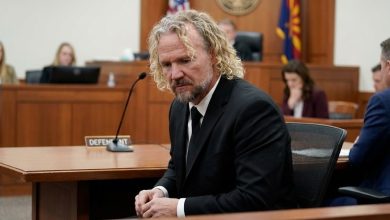 Official: The verdict for Kody Brown has been delivered — 😞 violence has been punished.