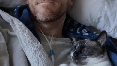 Heartbreaking News for MBFFL Fans: Tal Fish Reveals He Has Terminal Cancer — “It’s Too Late, It’s Everywhere”