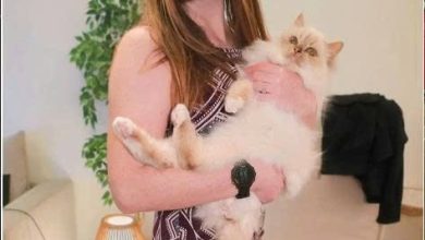 90 Day Fiance: Catie was fired and blacklisted abruptly for a crazy reason. How disgusting